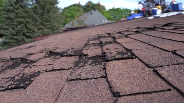 Best Green or Eco-Friendly Roofing Solutions  in Elwood, IL