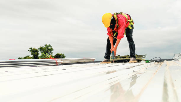 Best Asphalt Shingles Roofing  in Elwood, IL
