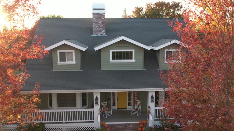 Steel Roofing in Elwood, IL