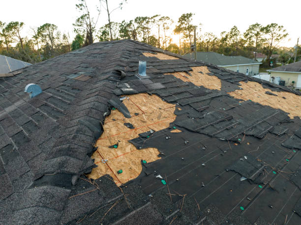 Best Steel Roofing  in Elwood, IL