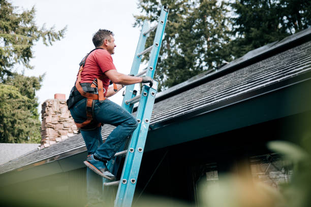 Best Asphalt Shingle Roofing  in Elwood, IL