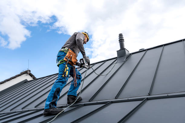 Best Roof Maintenance and Cleaning  in Elwood, IL